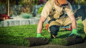 What Should Homeowners Know Before Starting a Landscaping Project in Lehigh
Valley?